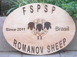 placa Estanek's Recanto